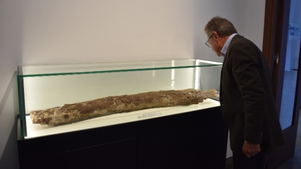 Visita al museo arqueológico de Baza (AYTO. BAZA)