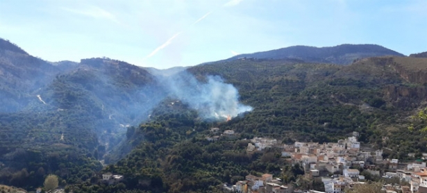 Incendio forestal en El Pinar (INFOCA)