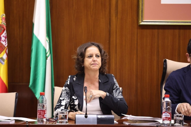 La consejera de Salud y Consumo, Catalina García, en comisión parlamentaria (EUROPA PRESS/JOAQUÍN CORCHERO)