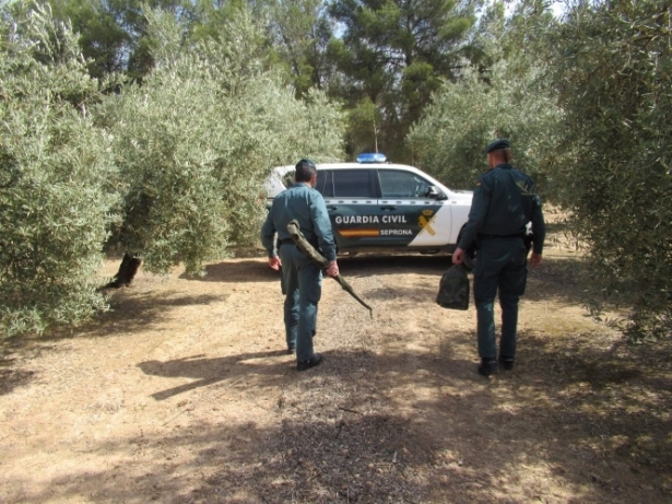 Agentes del Seprona. (GUARDIA CIVIL)