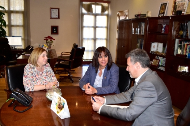 Imagen de la reunión (G. ACUÑA / DIPGRA)