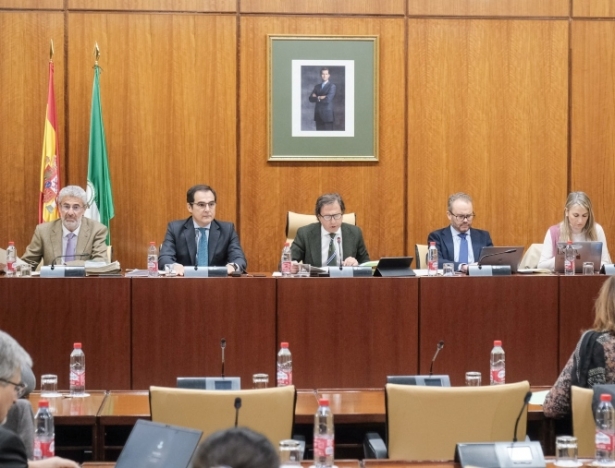 Presentación de Andalucía Reto Demográfico (PP)