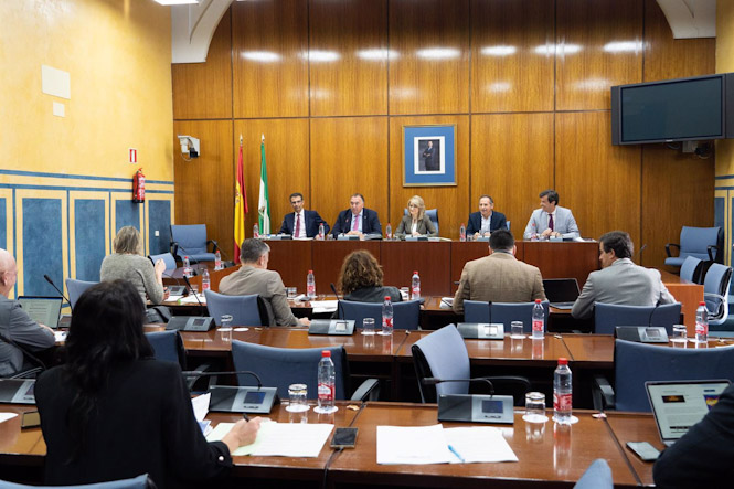 El consejero de Turismo, Cultura y Deporte de la Junta de Andalucía, Arturo Bernal, comparece durante la Comisión de Turismo, Cultura y Deporte de la Junta de Andalucía (FRANCISCO J. OLMO - EUROPA PRESS)