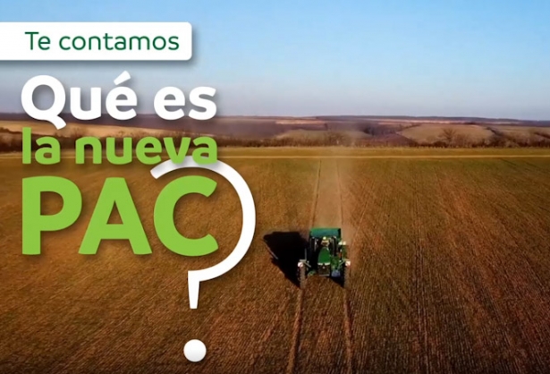 (FAECA)