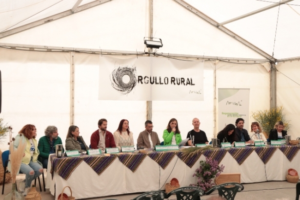 Imagen de la mesa redonda (ALVELAI) 