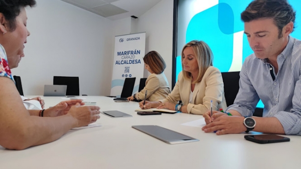 Imagen de la reunión (PP)