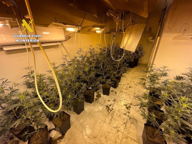 Zulo con marihuana (GUARDIA CIVIL)
