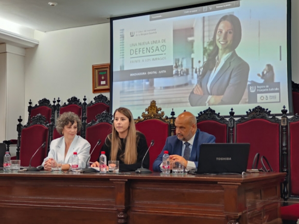 Imagen de la ponencia (ICAGR)