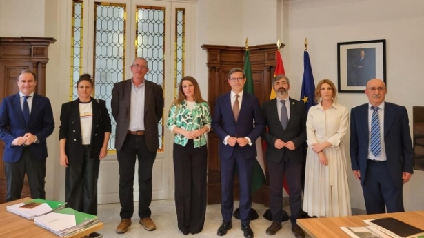 Imagen de la reunión con la Consejería de Energía (COMPROMISO POR ANDALUCIA)