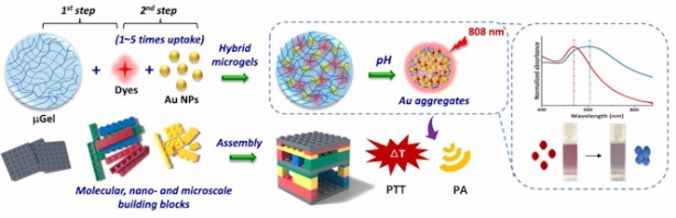 Desarrollan microgeles con nanopartículas de oro que permiten diagnosticar y tratar tumores (REMITIDO POR UGR)