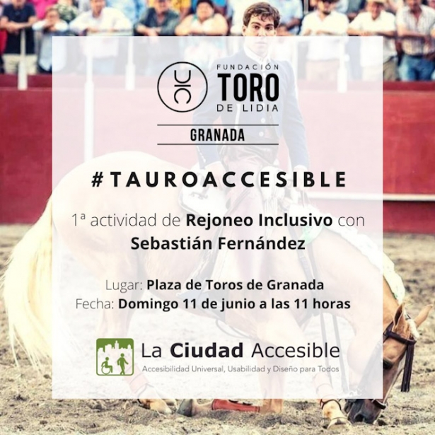 (LA CIUDAD ACCESIBLE)