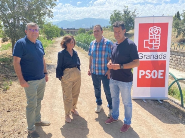(PSOE) 