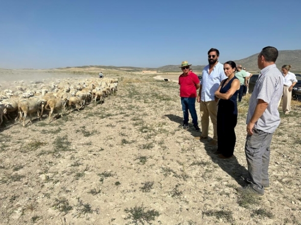 Visita a la Asociación Nacional de Criadores de Ovino Segureño (VOX)