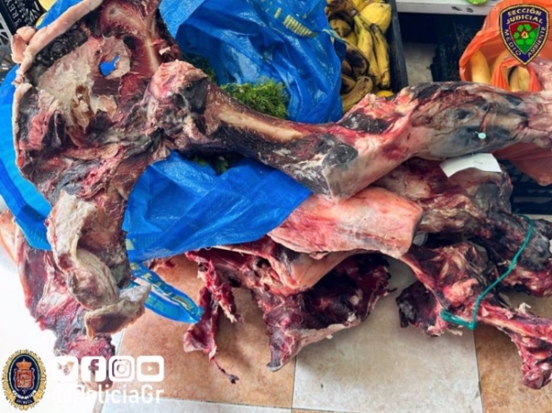 Carne hallada en el local clausurado (POLICÍA LOCAL DE GRANADA) 