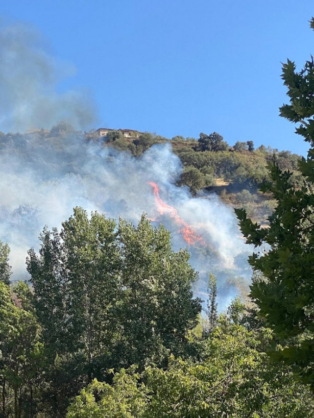 Lugar del incendio (INFOCA)