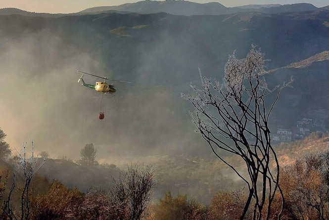 Casi un centenar de efectivos continuarán las labores de extinción en Pinos Genil durante la noche (INFOCA) Casi un centenar de efectivos continuarán las labores de extinción en Pinos Genil durante la noche (INFOCA)
