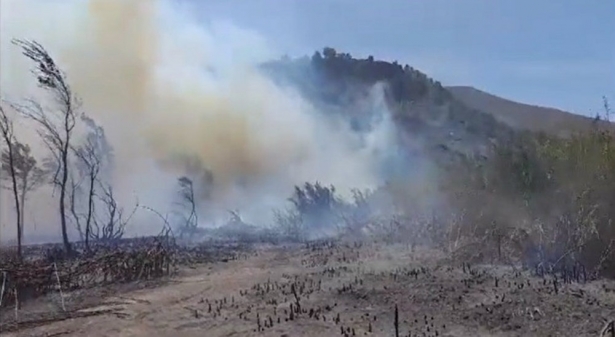 Lugar del incendio en un paraje de Órgiva (INFOCA)