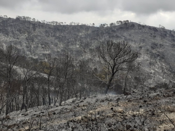 Imagen de la superficie calcinada en el incendio de Los Guajares (PLAN INFOCA)