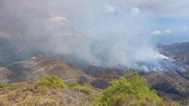 Incendio forestal declarado en término de Almuñécar, este pasado miércoles (PERFIL DEL INFOCA EN LA RED SOCIAL X) Incendio forestal declarado en término de Almuñécar, este pasado miércoles (PERFIL DEL INFOCA EN LA RED SOCIAL X)