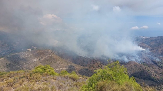 Incendio forestal declarado en término de Almuñécar, este pasado miércoles (PERFIL DEL INFOCA EN LA RED SOCIAL X) Incendio forestal declarado en término de Almuñécar, este pasado miércoles (PERFIL DEL INFOCA EN LA RED SOCIAL X)