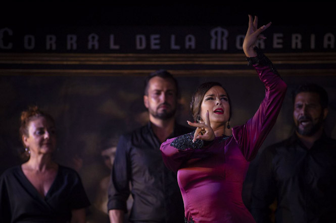 Una bailaora de flamenco, en imagen de archivo (JUAN BARBOSA - EUROPA PRESS)
