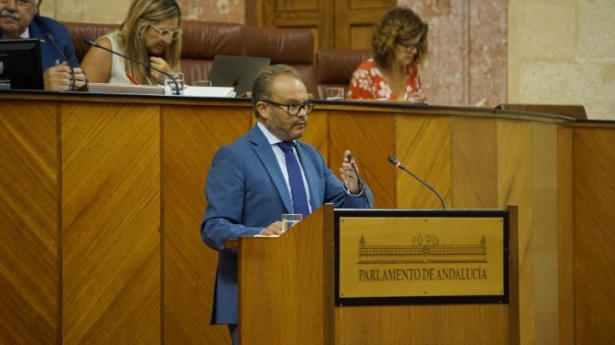 El parlamentario andaluz del PP, Mariano García (PP)