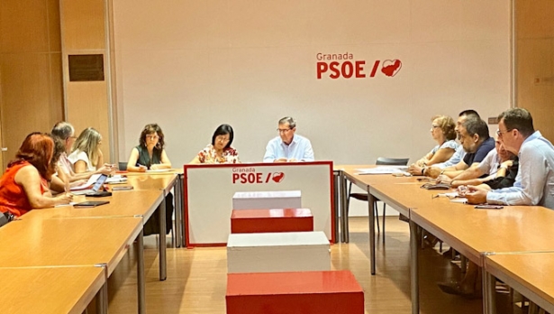 (PSOE)