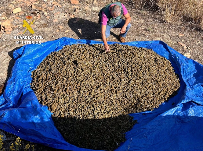 Hallados 55 kilos de marihuana en una vivienda en construcción abandonada en Las Gabias (GUARDIA CIVIL) Hallados 55 kilos de marihuana en una vivienda en construcción abandonada en Las Gabias (GUARDIA CIVIL)