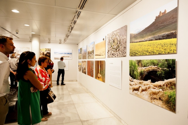 Imagen de la exposición (CAJA RURAL)