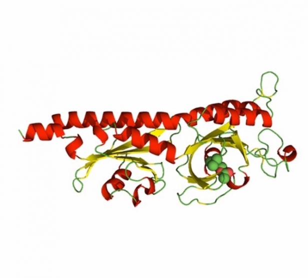 structura tridimensional de un dominio dCache_AM unido a una amina (la acetilcolina) (CSIC)