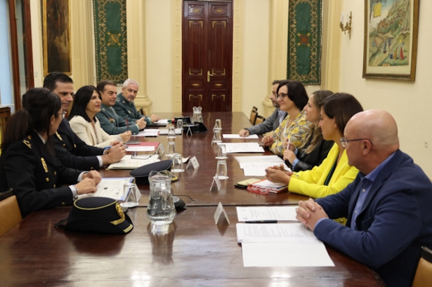 Reunión de la Comisión provincial de seguimiento y evaluación del Plan Director para la Convivencia y Mejora de la Seguridad Escolar (SUBDELEGACIÓN)