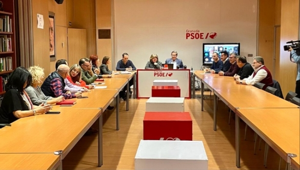 Ejecutiva provincial del PSOE (PSOE) 