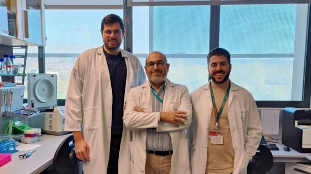 Los científicos Jorge Cerón, Pedro J. Real y Gonzalo Martínez (UGR)
