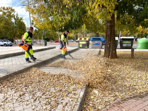 Recogida de hojas en la capital (INAGRA)