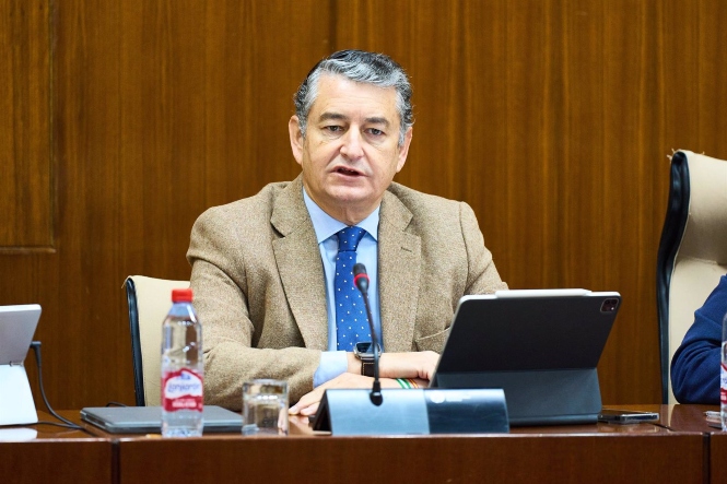 El consejero de la Presidencia, Interior, Diálogo Social y Simplificación Administrativa, Antonio Sanz (EDUARDO BRIONES / EUROPA PRESS) El consejero de la Presidencia, Interior, Diálogo Social y Simplificación Administrativa, Antonio Sanz (EDUARDO BRIONES / EUROPA PRESS)