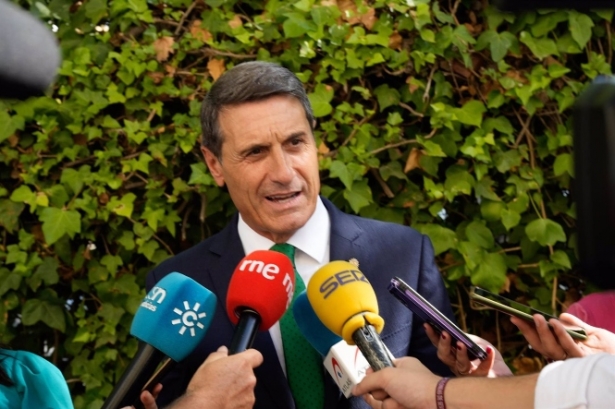 El Delegado del Gobierno en Andalucía, Pedro Fernández, en imagen de archivo (EDUARDO BRIONES / EUROPA  PRESS) El Delegado del Gobierno en Andalucía, Pedro Fernández, en imagen de archivo (EDUARDO BRIONES / EUROPA  PRESS)