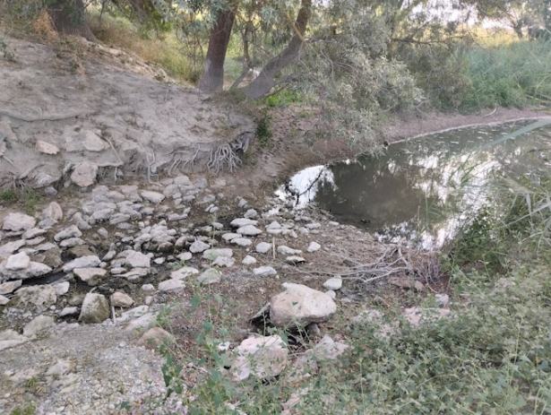 Río Guardal, en imagen de archivo (VECINOS EN DEFENSA DEL RÍO GUARDAL)