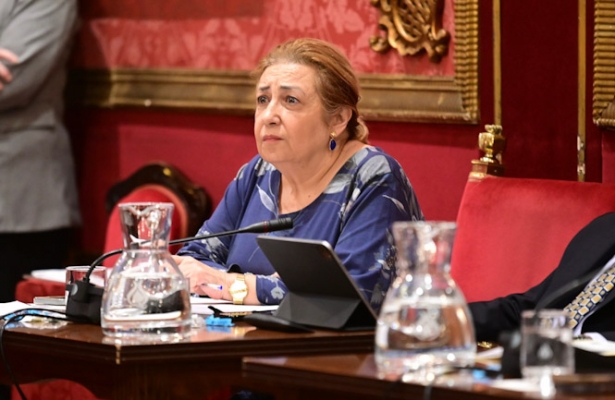 La concejal de economía, Rosario Pallarés (AYTO. GRANADA)