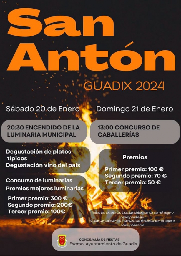 (AYUNTAMIENTO GUADIX)