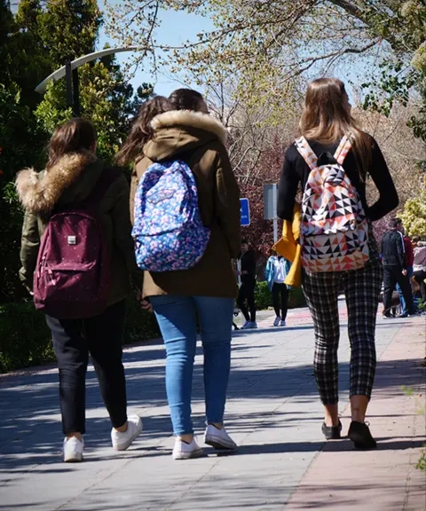 Estudiantes en Fuentenueva (UGR)