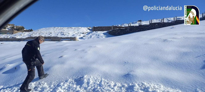 Un dispositivo con ayuda ciudadana permite localizar a un niño de cinco años perdido en Sierra Nevada (@POLICIANDALUCIA) Un dispositivo con ayuda ciudadana permite localizar a un niño de cinco años perdido en Sierra Nevada (@POLICIANDALUCIA)