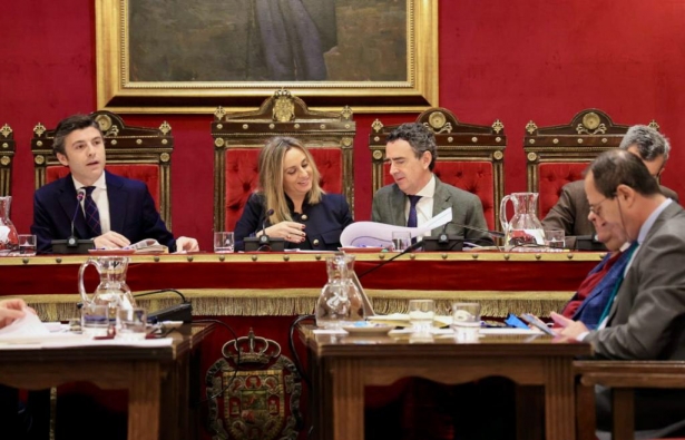 Pleno del ayuntamiento de Granada (AYTO. GRANADA)
