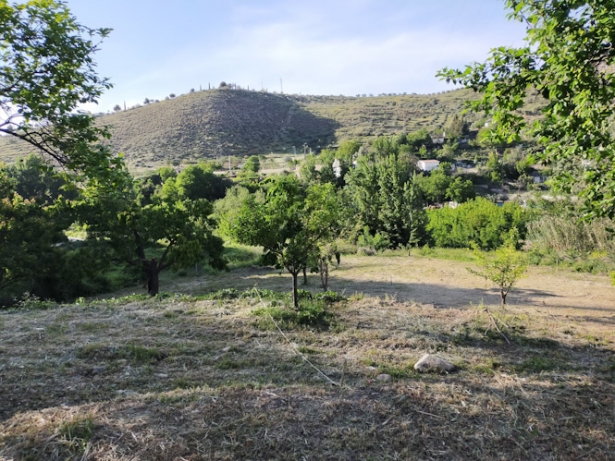 Huerto Ecológico en Monachil (AYTO. MONACHIL)
