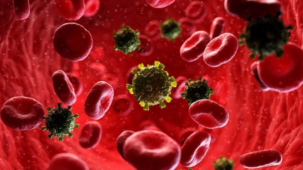 Cellbitec y Universidad de Granada desarrollan un nanofármaco contra el cáncer de páncreas (UNIVERSIDAD DE GRANADA)