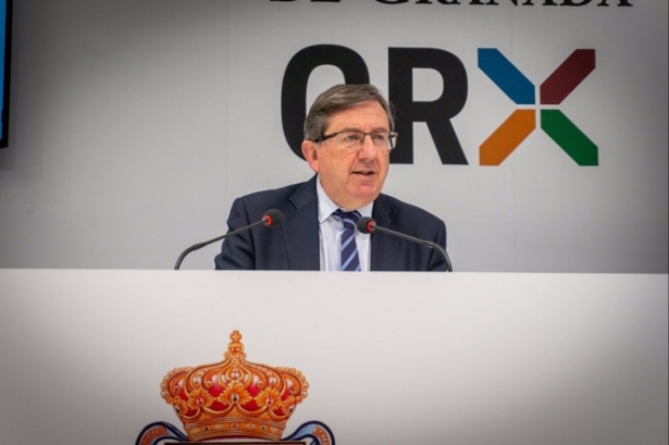 Luis González en su etapa de portavoz del PP en el Ayuntamiento de Granada, en imagen de archivo (PP) 