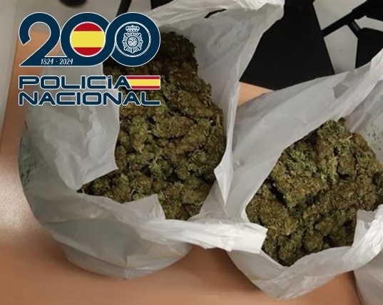Marihuana en imagen de archivo (POLICÍA NACIONAL)