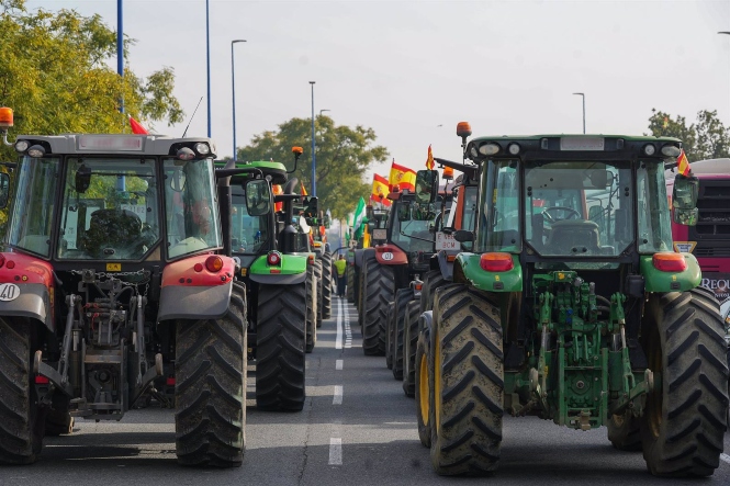 Tractorada de protesta en la calle Virgen del Patrocinio, una de las entradas a Sevilla, el pasado martes (MARÍA JOSÉ LÓPEZ / EUROPA PRESS) Tractorada de protesta en la calle Virgen del Patrocinio, una de las entradas a Sevilla, el pasado martes (MARÍA JOSÉ LÓPEZ / EUROPA PRESS)