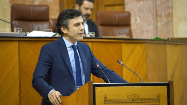 El parlamentario andaluz del PP, Jorge Saavedra (PP)