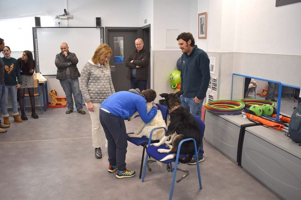 Terapia canina (AYTO. ALBOLOTE)