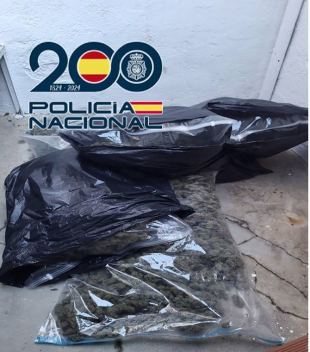 Bolsas de marihuana incautadas (POLICÍA NACIONAL)